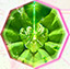 Alchemilla