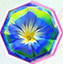 Blaue Blume Himmelsstern