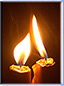 Naturfoto: Es werde Licht