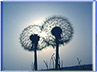 Naturfoto: Unendlichkeit